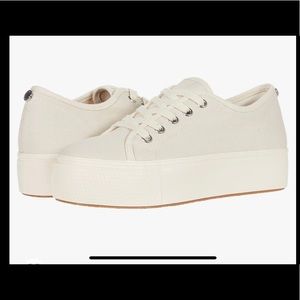 Brand new Steve Madden platform tennis shoes *never worn*